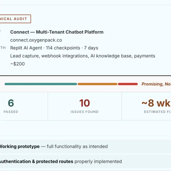 The initial audit of my vibe coded work